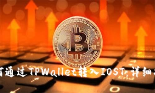 如何通过TPWallet转入IOST：详细指南