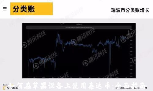 
如何在苹果设备上使用泰达币：全面指南