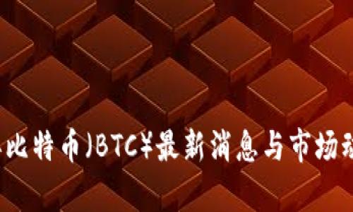 2021年比特币（BTC）最新消息与市场动态分析