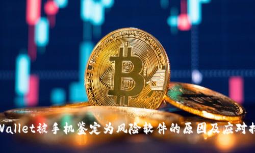 TPWallet被手机鉴定为风险软件的原因及应对措施
