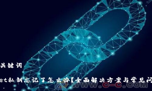 生成与关键词

tpwallet私钥忘记了怎么办？全面解决方案与常见问题解答