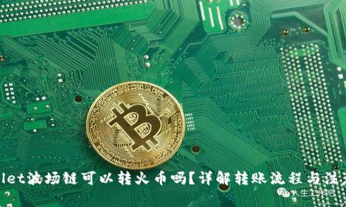 tpwallet波场链可以转火币吗？详解转账流程与注意事项