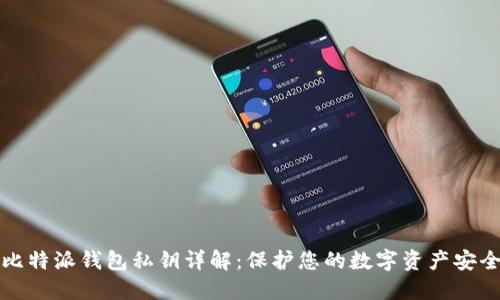 比特派钱包私钥详解：保护您的数字资产安全